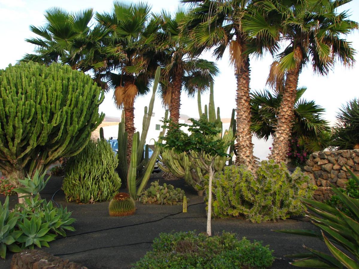 Casa Para Ti - Botanica Puerto del Carmen  Extérieur photo